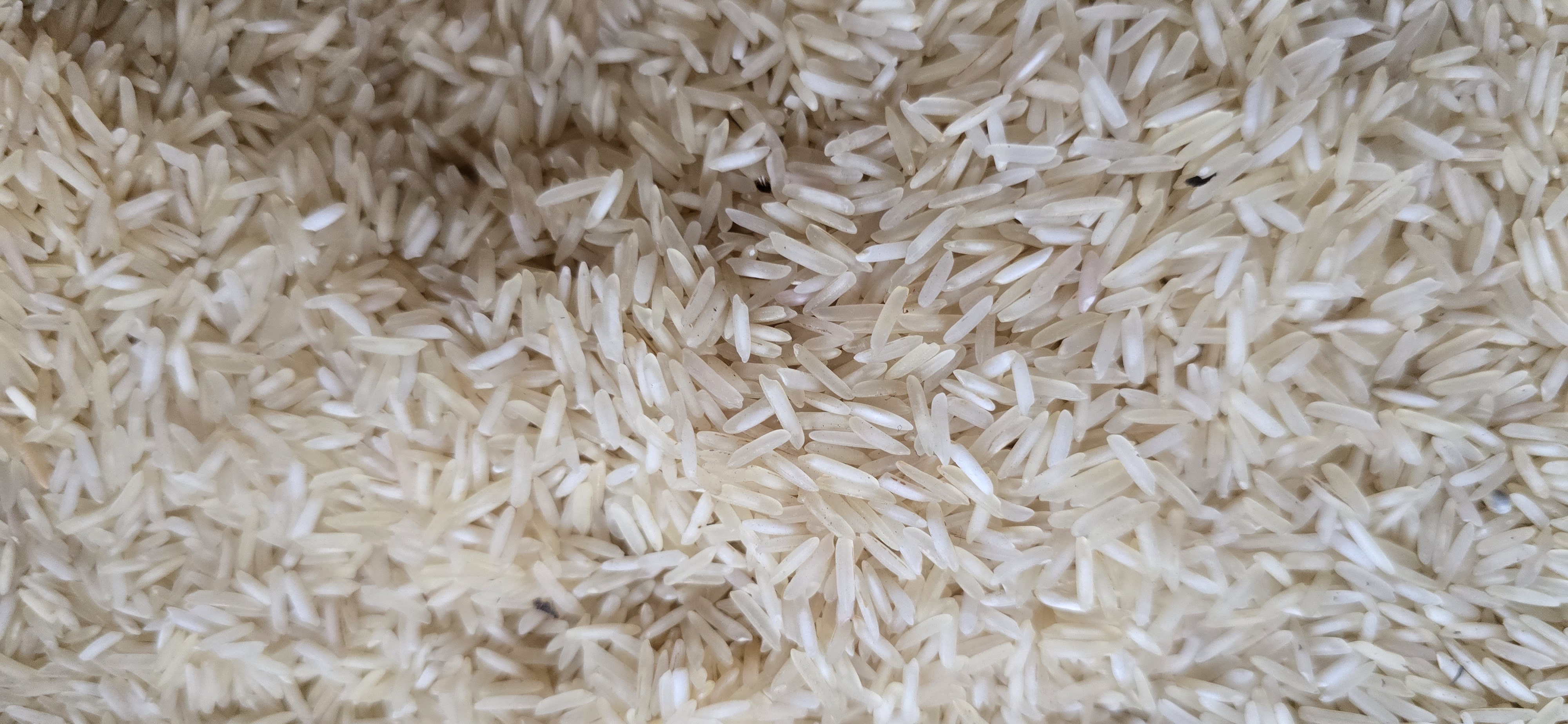 Akkha basmati rice