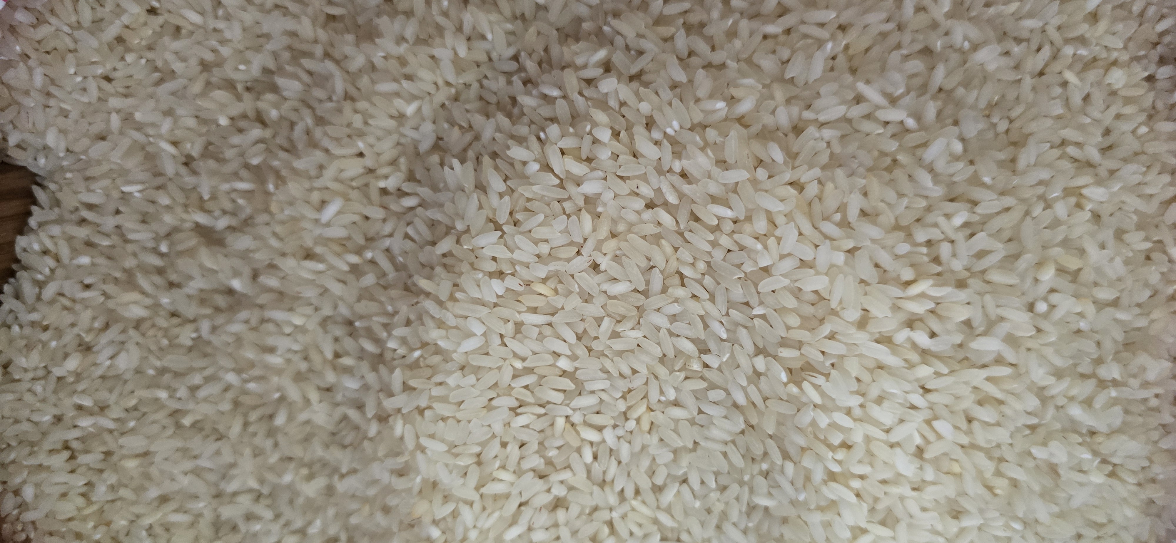 Mausari rice