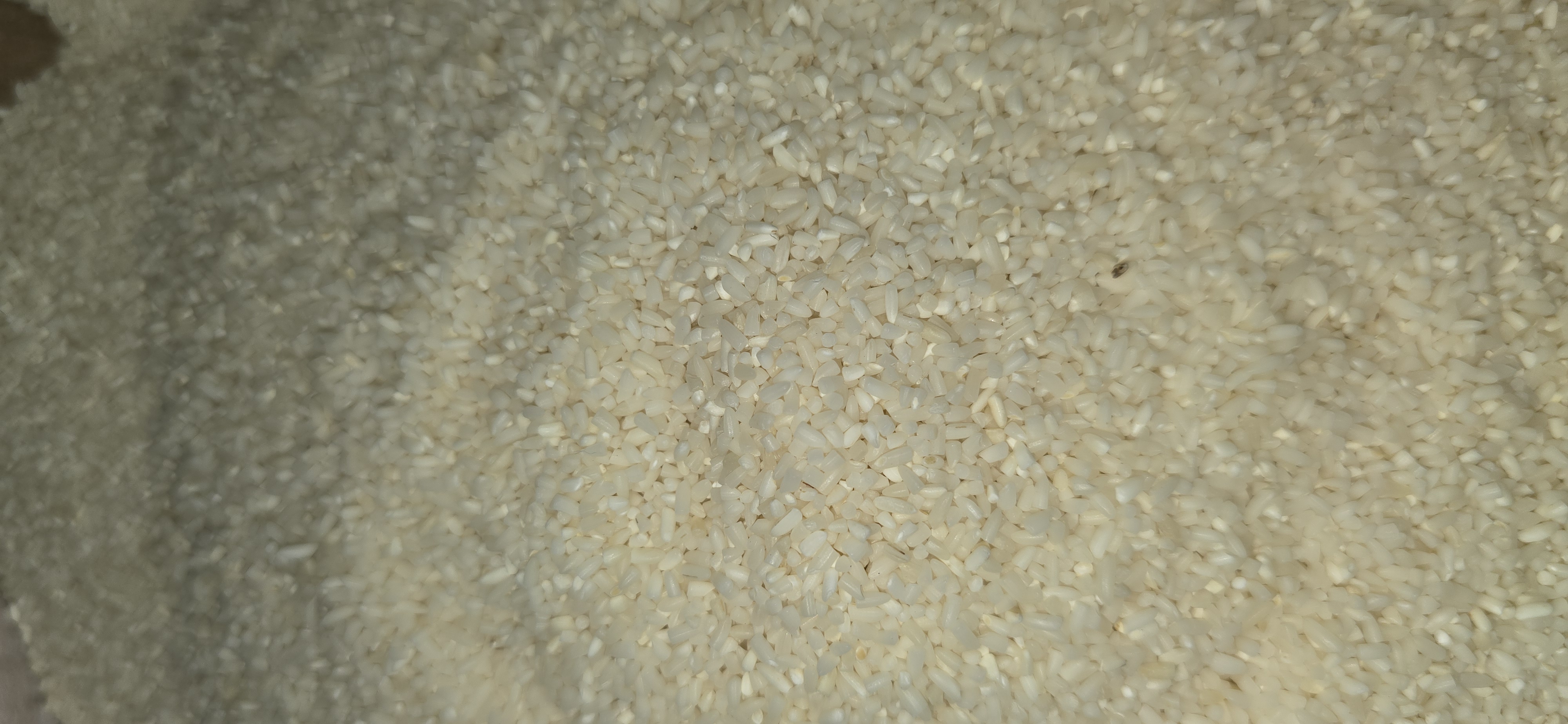 Basmati kani Rice